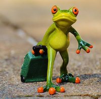 Frog with Luggage
